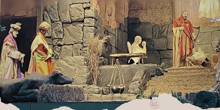 blog2 (500 x 250 px)